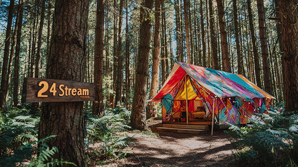 森の中のカラフルな建物と24Streamの看板